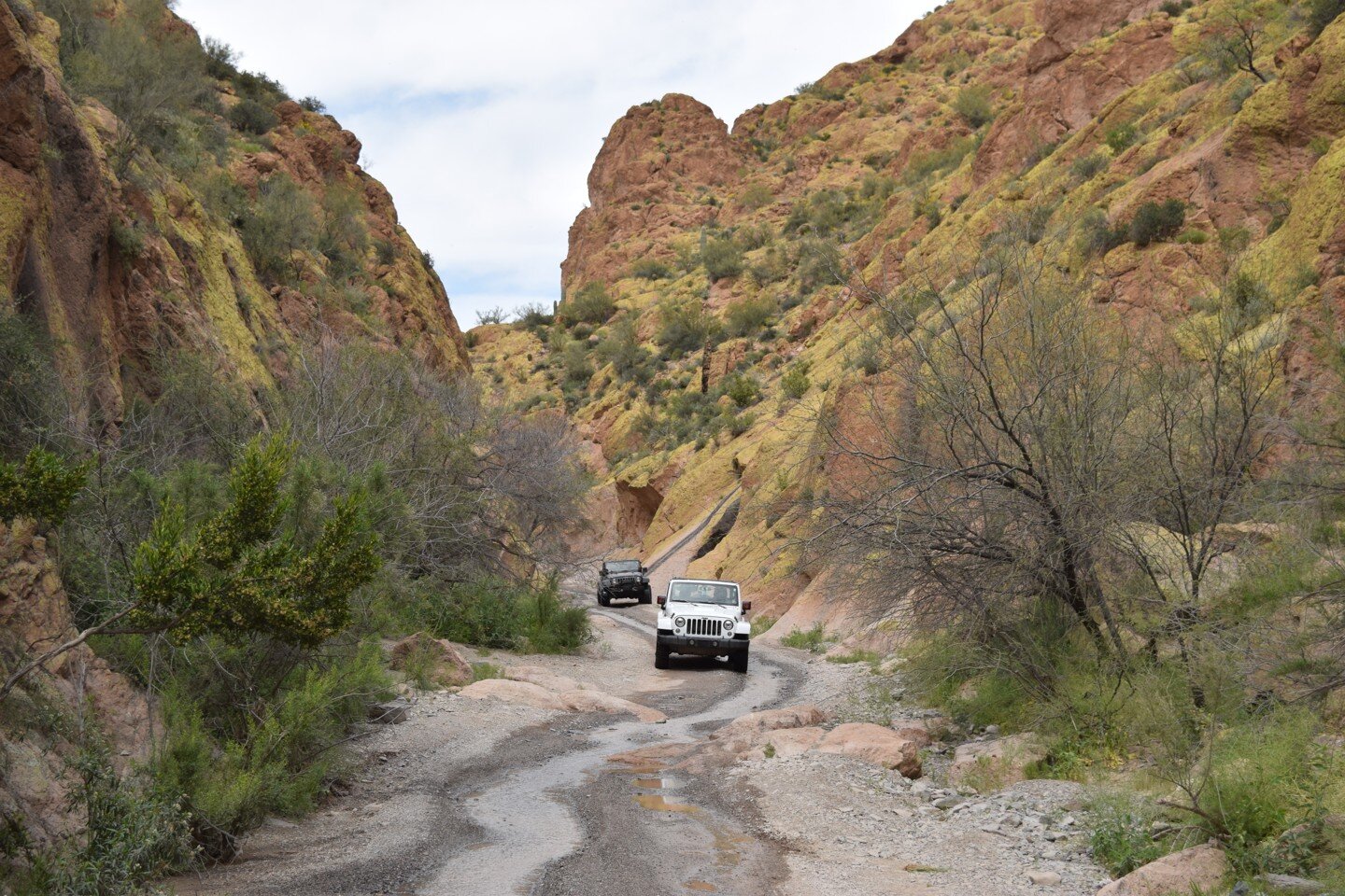 **NEW DATE** Box Canyon Near Florence, AZ Moderate 4x4