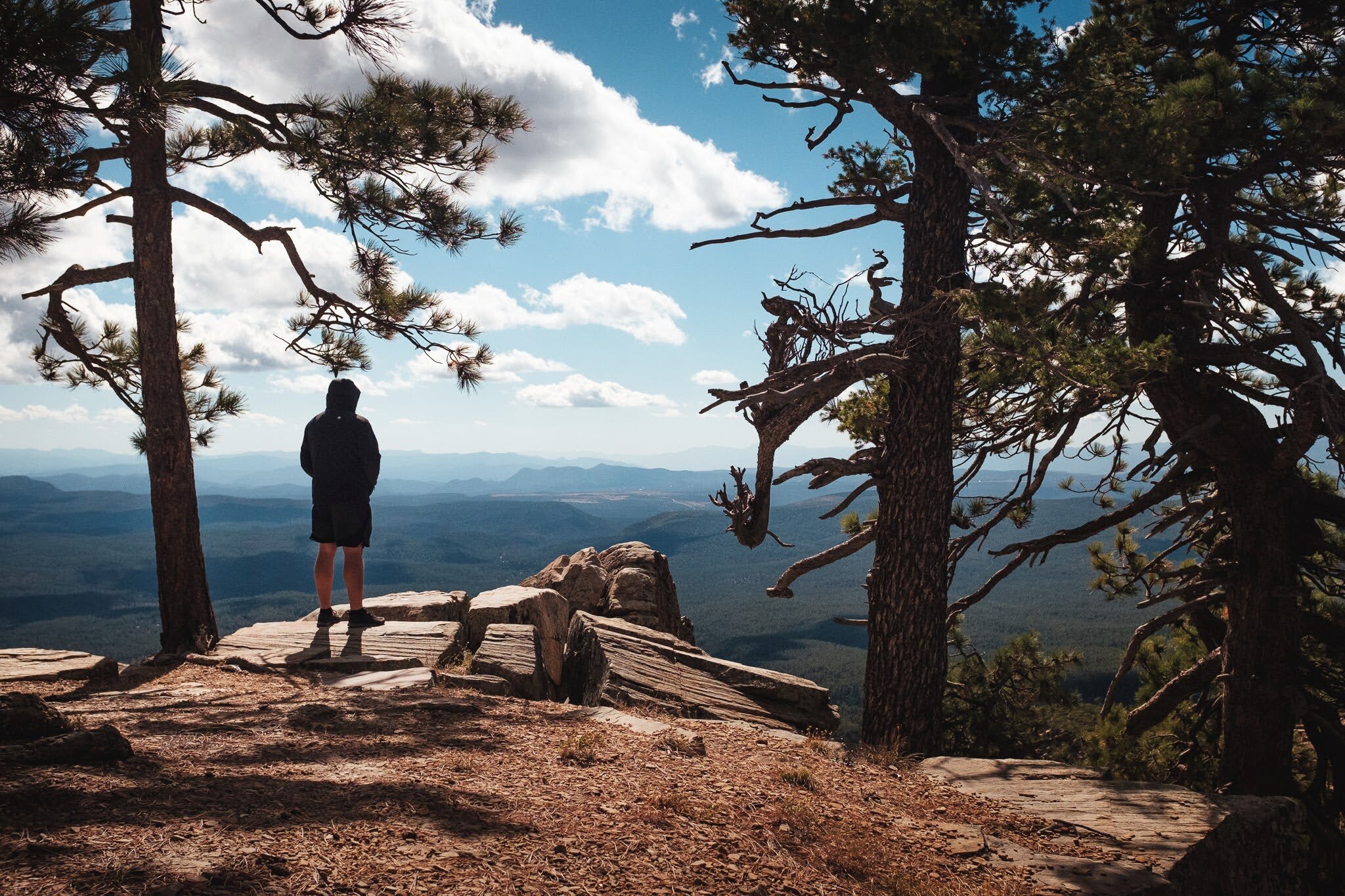 [CLUB] Primitive Camping on Mogollon Rim (Easy, near Strawberry AZ) & Optional Pyeatt Draw Day Run (4x4 Difficult)